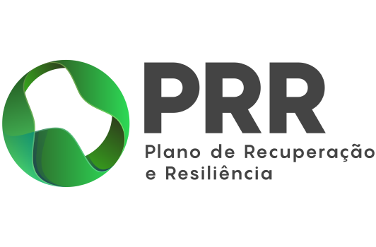 Recovery and Resilience Plan